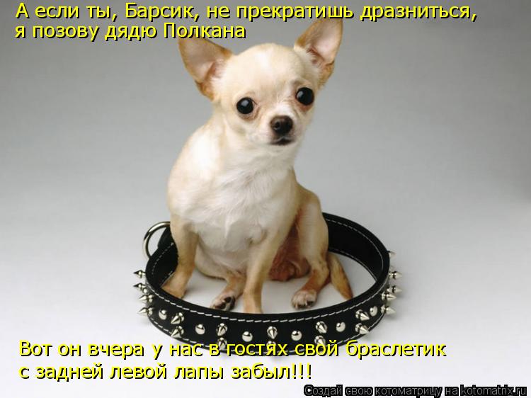 А если ты, Барсик, не прекратишь дразниться, я позову дядю Полкана Вот он вчера у нас в гостях свой б... Котоматрица: А если ты, Барсик, не прекратишь дразниться, я позову дядю Полкана Вот он вчера у нас в гостях свой браслетик с задней левой лапы забыл!!!