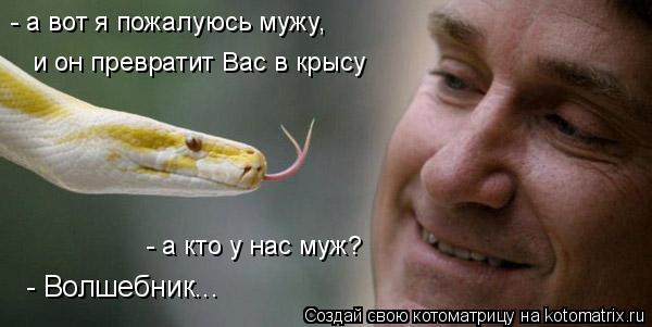 Котоматрица: - а вот я пожалуюсь мужу, и он превратит Вас в крысу - а кто у нас муж? - Волшебник...