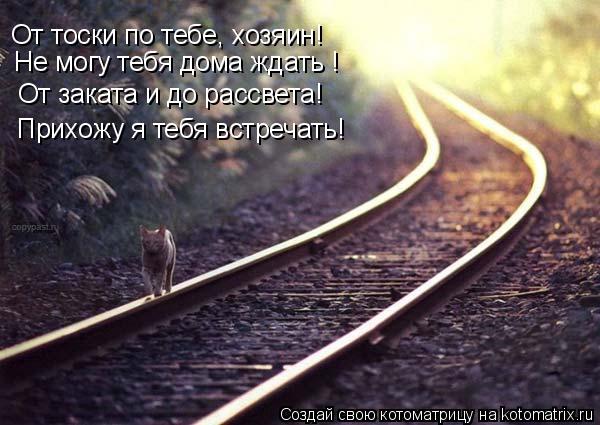 Котоматрица: От тоски по тебе, хозяин! От заката и до рассвета! Прихожу я тебя встречать! Не могу тебя дома ждать !