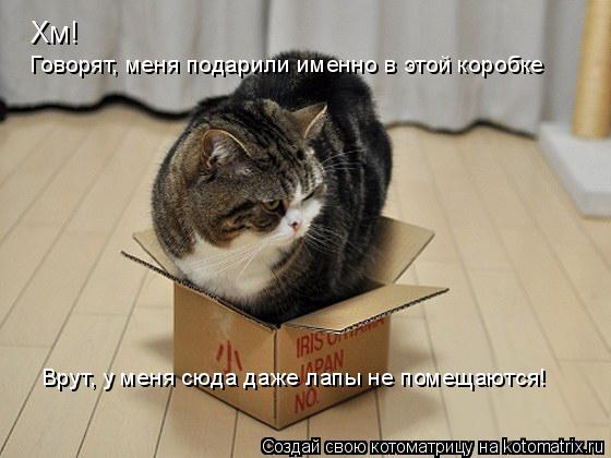 Котоматрица: Хм! Говорят, меня подарили именно в этой коробке Врут, у меня сюда даже лапы не помещаются!