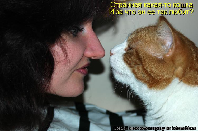 Котоматрица: Странная какая-то кошка. И за что он ее так любит?