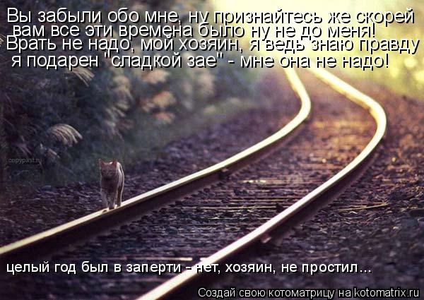 Котоматрица: Вы забыли обо мне, ну признайтесь же скорей вам все эти времена было ну не до меня! Врать не надо, мой хозяин, я ведь знаю правду я подарен "сла