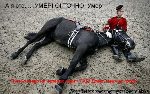 Котоматрица: А я это......УМЕР! О! ТОЧНО! Умер!     Пусть теперь на черепах ездит! ГАД! Довел меня до гроба