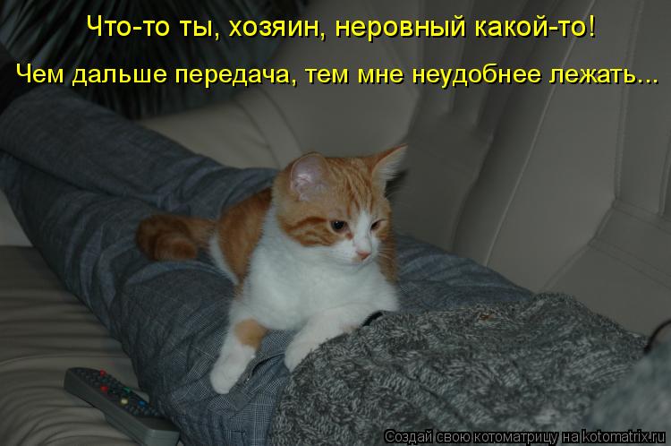 Котоматрица: Что-то ты, хозяин, неровный какой-то! Чем дальше передача, тем мне неудобнее лежать...