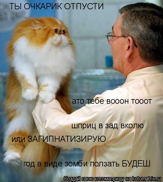 Котоматрица: ТЫ ОЧКАРИК ОТПУСТИ ато тебе вооон тооот шприц в зад вколю или ЗАГИПНАТИЗИРУЮ год в виде зомби ползать БУДЕШ