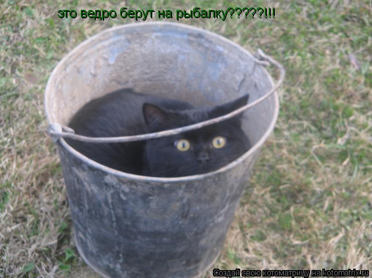 Котоматрица: это ведро берут на рыбалку?????!!!