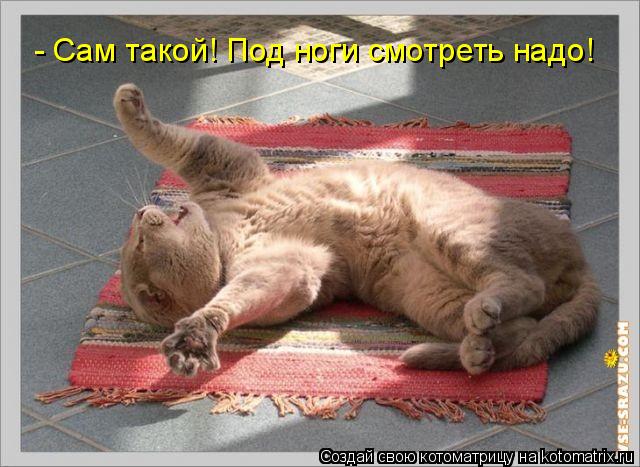 Котоматрица: - Сам такой! Под ноги смотреть надо!