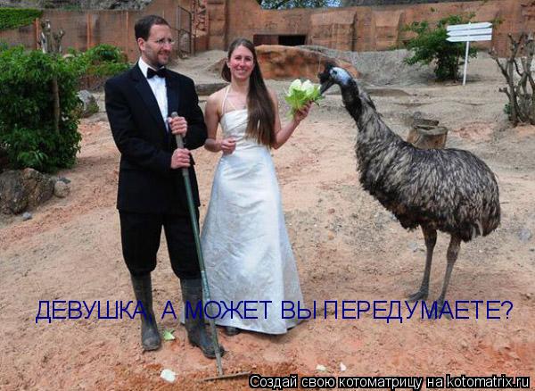 Котоматрица: ДЕВУШКА, А МОЖЕТ ВЫ ПЕРЕДУМАЕТЕ?