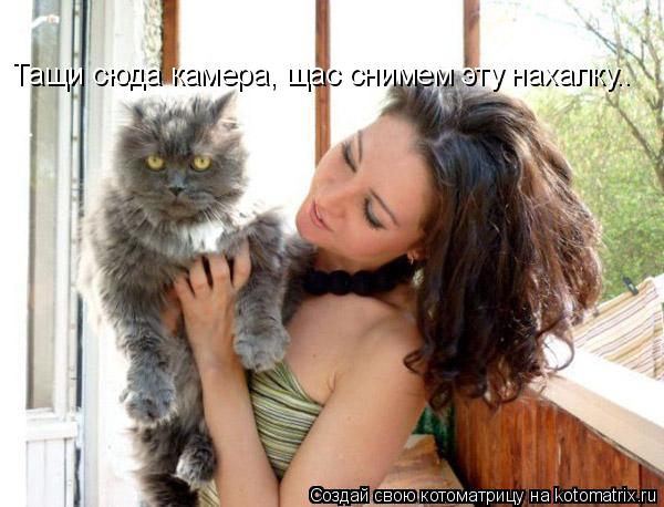 Котоматрица: Тащи сюда камера, щас снимем эту нахалку..