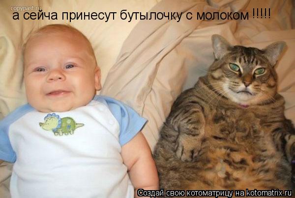 Котоматрица: а сейча принесут бутылочку с молоком !!!!!
