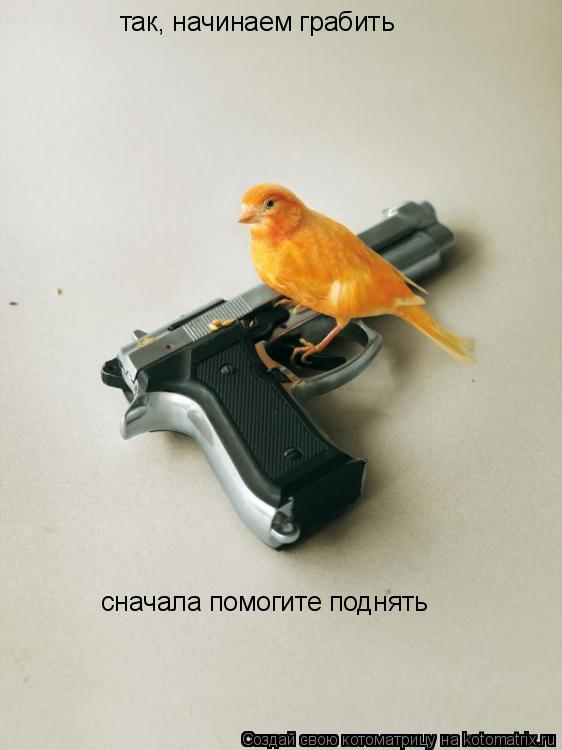 Котоматрица: так, начинаем грабить сначала помогите поднять