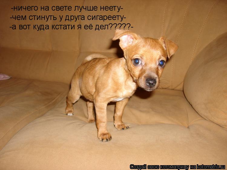 Котоматрица: -ничего на свете лучше неету- -чем стинуть у друга сигареету- -а вот куда кстати я её дел?????-