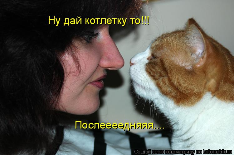 Котоматрица: Ну дай котлетку то!!! Послеееедняяя....