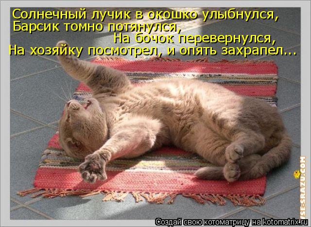 Котоматрица: Солнечный лучик в окошко улыбнулся, Барсик томно потянулся, На бочок перевернулся, На хозяйку посмотрел, и опять захрапел...