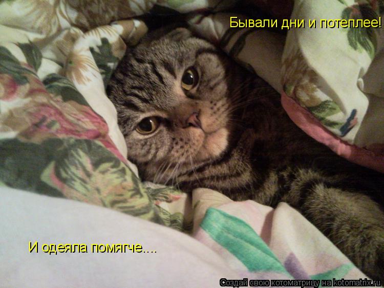 Котоматрица: Бывали дни и потеплее! И одеяла помягче....