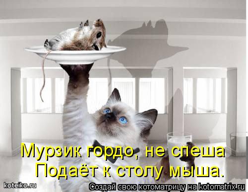 Котоматрица: Мурзик гордо, не спеша  Подаёт к столу мыша.