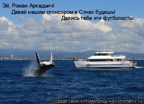 Котоматрица: Эй, Роман Аркадьич!  Давай нашим спонсором в Сочах будешь!  Дались тебе эти футболисты...