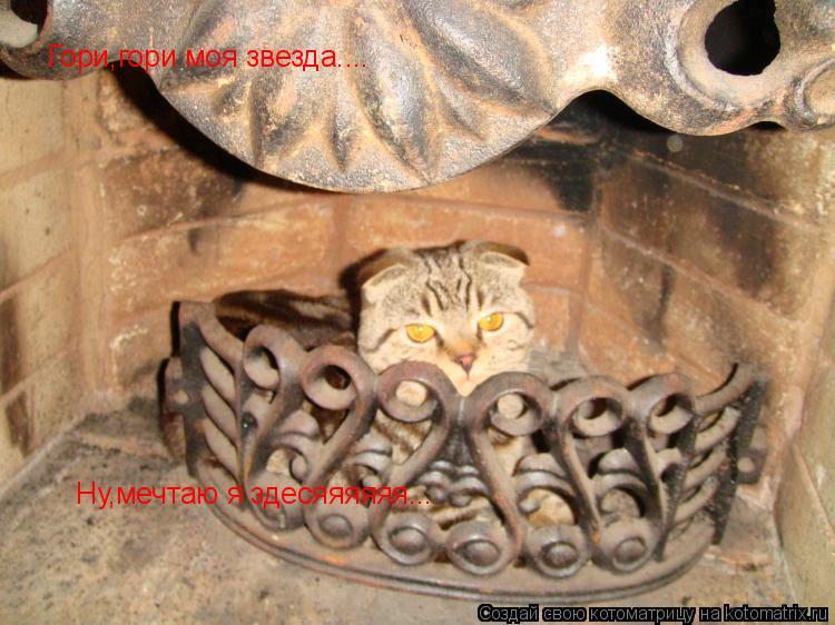 Котоматрица: Гори,гори моя звезда.... Ну,мечтаю я здесяяяяяя...