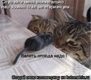Котоматрица: Слушайте меня внимательно : Валить отсюда надо ! наш хозяин стал вегетарианцем...
