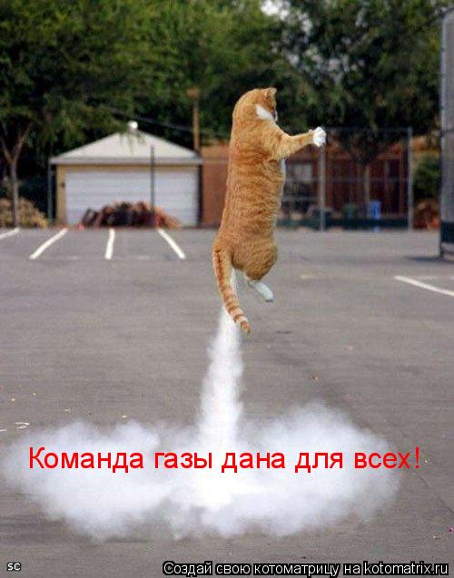 Котоматрица: Команда газы дана для всех!
