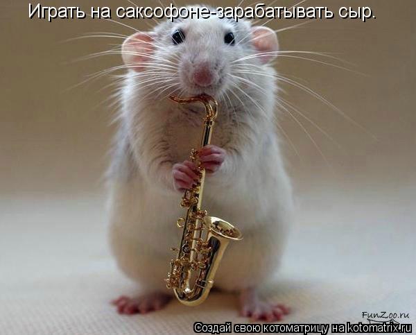 Котоматрица: Играть на саксофоне-зарабатывать сыр.