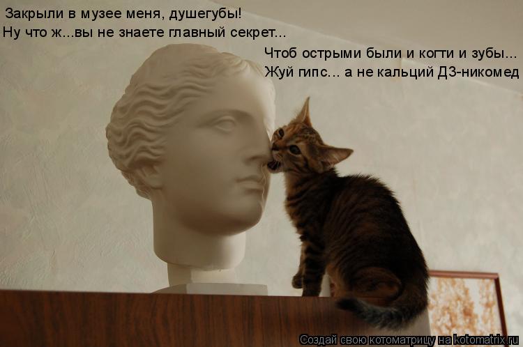 Закрыли в музее меня, душегубы! Ну что ж...вы не знаете главный секрет... Чтоб острыми были и когти и... Котоматрица: Закрыли в музее меня, душегубы! Ну что ж...вы не знаете главный секрет... Чтоб острыми были и когти и зубы... Жуй гипс... а не кальций Д3-никомед