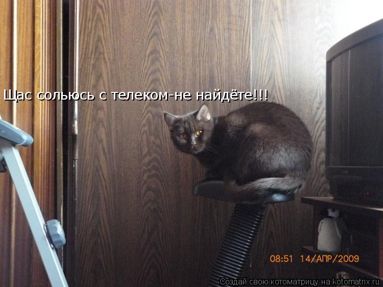 Щас сольюсь с телеком-не найдёте!!!... Котоматрица: Щас сольюсь с телеком-не найдёте!!!