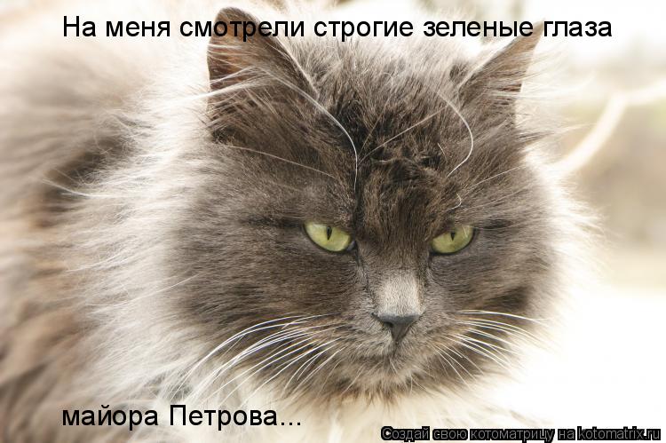 На меня смотрели строгие зеленые глаза майора Петрова...... Котоматрица: На меня смотрели строгие зеленые глаза майора Петрова...