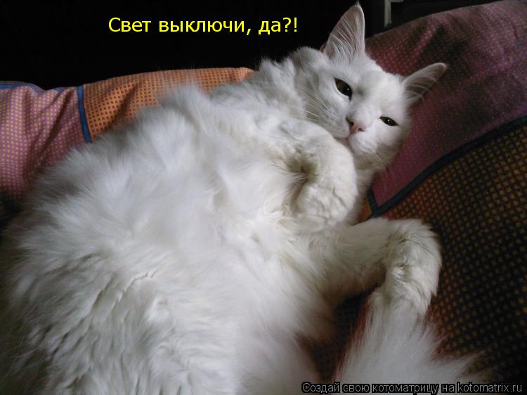 Свет выключи, да?!... Котоматрица: Свет выключи, да?!