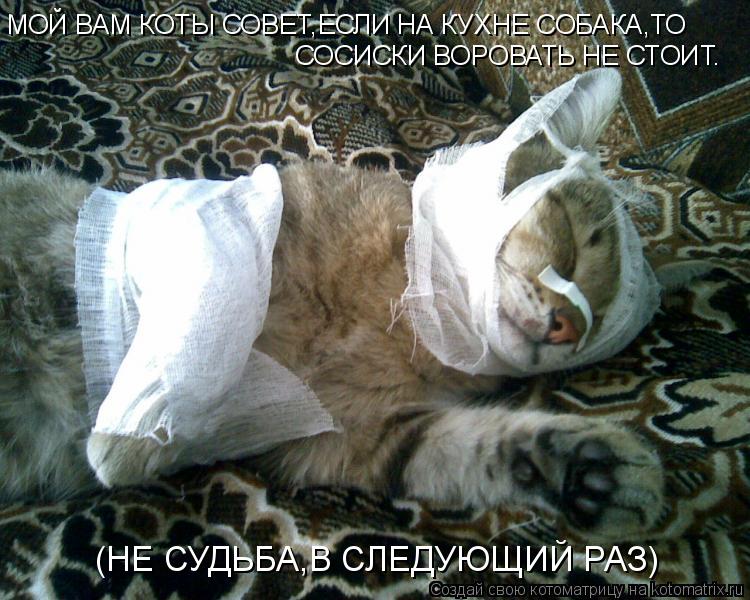МОЙ ВАМ КОТЫ СОВЕТ,ЕСЛИ НА КУХНЕ СОБАКА,ТО СОСИСКИ ВОРОВАТЬ НЕ СТОИТ. (НЕ СУДЬБА,В СЛЕДУЮЩИЙ РАЗ)... Котоматрица: МОЙ ВАМ КОТЫ СОВЕТ,ЕСЛИ НА КУХНЕ СОБАКА,ТО СОСИСКИ ВОРОВАТЬ НЕ СТОИТ. (НЕ СУДЬБА,В СЛЕДУЮЩИЙ РАЗ)