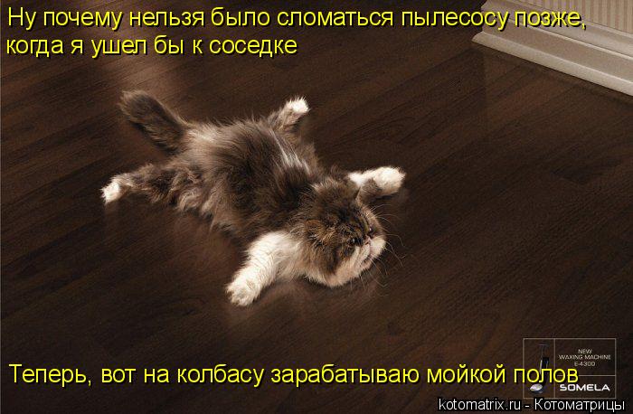Ну почему нельзя было сломаться пылесосу позже, когда я ушел бы к соседке Теперь, вот на колбасу зара... Котоматрица: Ну почему нельзя было сломаться пылесосу позже, когда я ушел бы к соседке Теперь, вот на колбасу зарабатываю мойкой полов