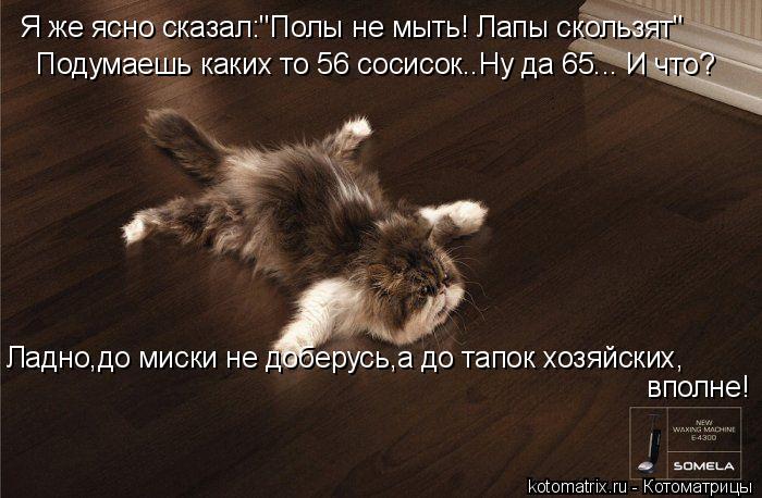 Я же ясно сказал:"Полы не мыть! Лапы скользят" Подумаешь каких то 56 сосисок..Ну да 65... И что? Ладн... Котоматрица: Я же ясно сказал:"Полы не мыть! Лапы скользят" Подумаешь каких то 56 сосисок..Ну да 65... И что? Ладно,до миски не доберусь,а до тапок хозяйских, вп