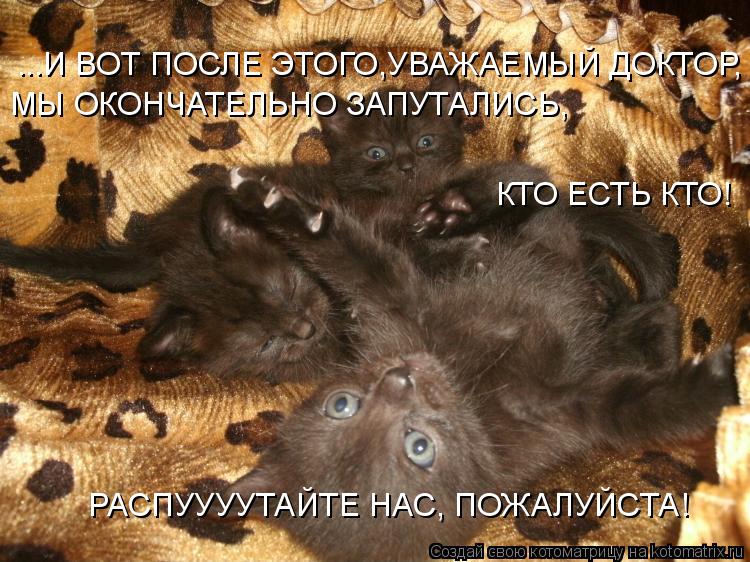 ...И ВОТ ПОСЛЕ ЭТОГО,УВАЖАЕМЫЙ ДОКТОР, МЫ ОКОНЧАТЕЛЬНО ЗАПУТАЛИСЬ, КТО ЕСТЬ КТО! РАСПУУУУТАЙТЕ НАС, П... Котоматрица: ...И ВОТ ПОСЛЕ ЭТОГО,УВАЖАЕМЫЙ ДОКТОР, МЫ ОКОНЧАТЕЛЬНО ЗАПУТАЛИСЬ, КТО ЕСТЬ КТО! РАСПУУУУТАЙТЕ НАС, ПОЖАЛУЙСТА!