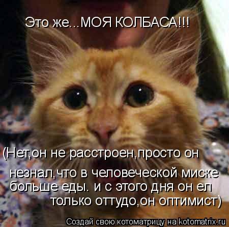 (Нет,он не расстроен,просто он незнал,что в человеческой миске больше еды. и с этого дня он ел Это ж... Котоматрица: (Нет,он не расстроен,просто он незнал,что в человеческой миске больше еды. и с этого дня он ел Это же...МОЯ КОЛБАСА!!! только оттудо,он оптимис
