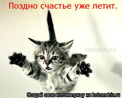 Котоматрица: Поздно счастье уже летит.