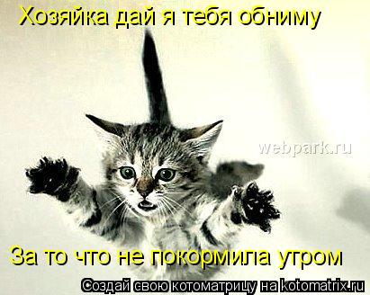Котоматрица: Хозяйка дай я тебя обниму  За то что не покормила утром