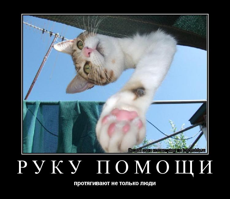 Котоматрица: РУКУ ПОМОЩИ протягивают не только люди