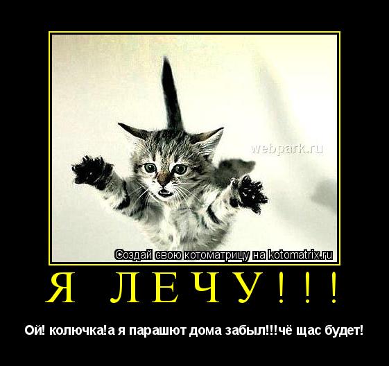 Котоматрица: Я лечу!!! Oй! колючка!а я парашют дома забыл!!!чё щас будет!