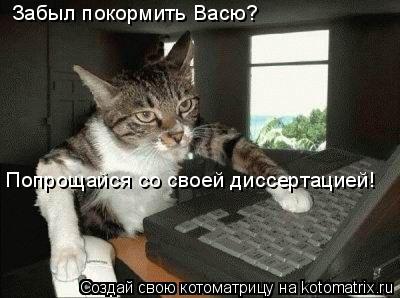 Котоматрица: Забыл покормить Васю? Попрощайся со своей диссертацией!