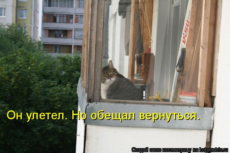 Котоматрица: Он улетел. Но обещал вернуться.