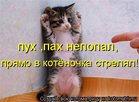 Котоматрица: пух ,пах непопал, прямо в котёночка стрелял!