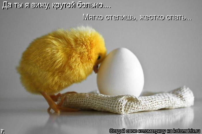 Котоматрица: Да ты я вижу, крутой больно.... Мягко стелишь, жестко спать... Да ты я вижу, крутой больно....