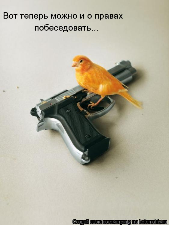 Котоматрица: Вот теперь можно и о правах  побеседовать...