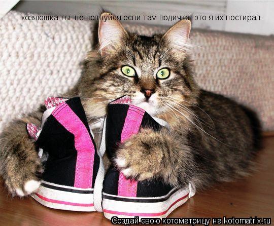 Котоматрица: хозяюшка ты  не волнуйся если там водичка. это я их постирал.