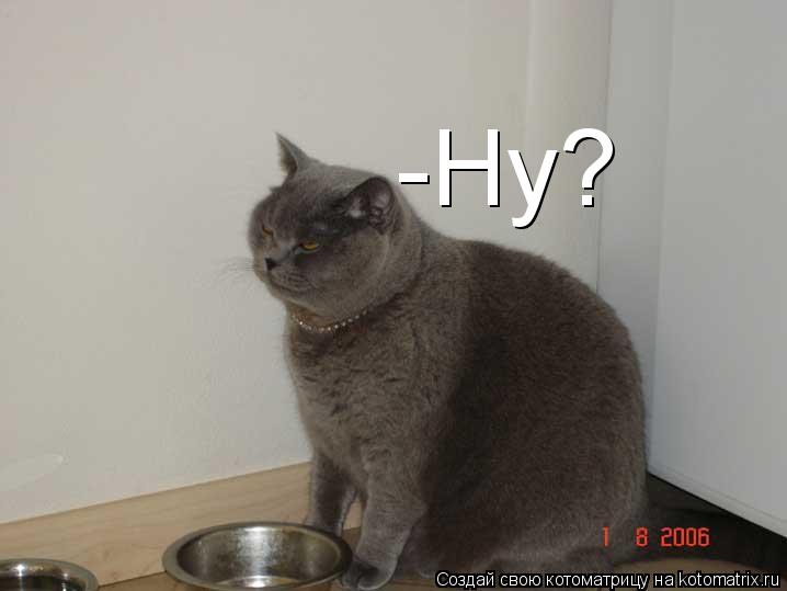 Котоматрица: -Ну?