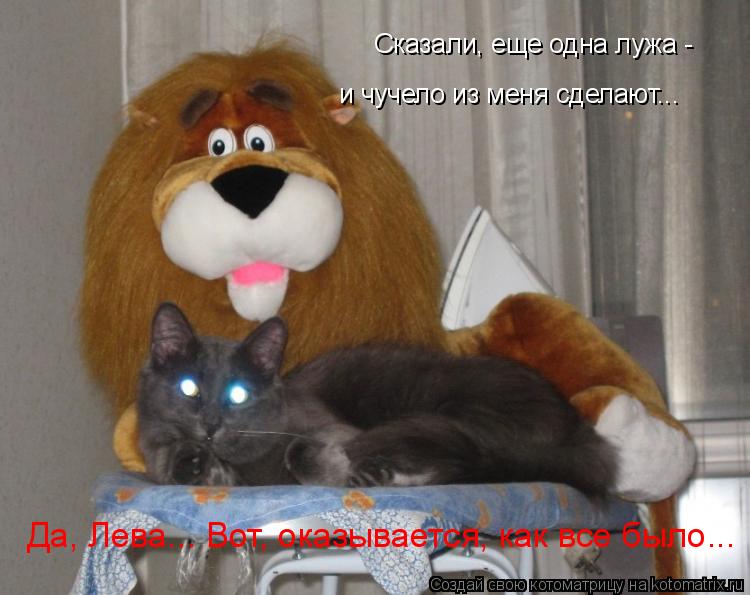 Котоматрица: Сказали, еще одна лужа -  Сказали, еще одна лужа -  и чучело из меня сделают...  Да, Лева... Вот, оказывается, как все было...