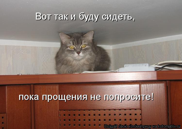 Котоматрица: Вот так и буду сидеть, пока прощения не попросите!
