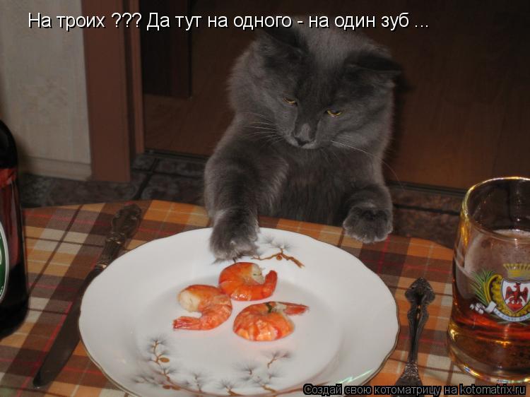 Котоматрица: На троих ??? Да тут на одного - на один зуб ...