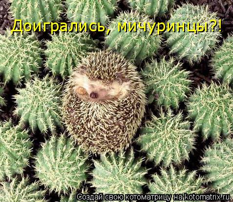 Котоматрица: Доигрались, мичуринцы?!