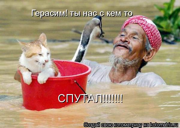 Котоматрица: Герасим! ты нас с кем то  СПУТАЛ!!!!!!!